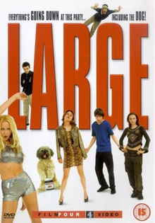 Large - DVD cover